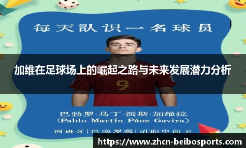 贝博bb体育