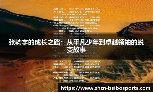 贝博体育网站