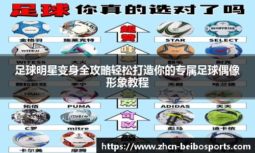 贝博bb体育