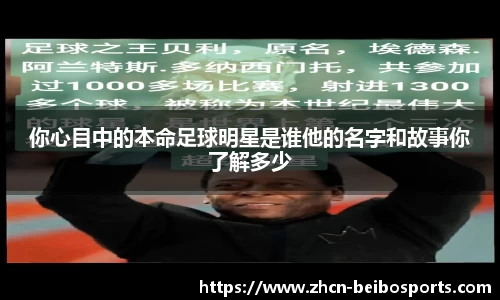 BB体育官方网站