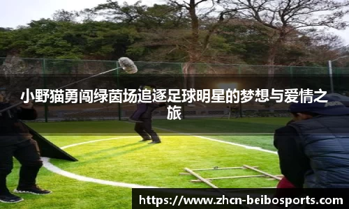 BB体育官方网站